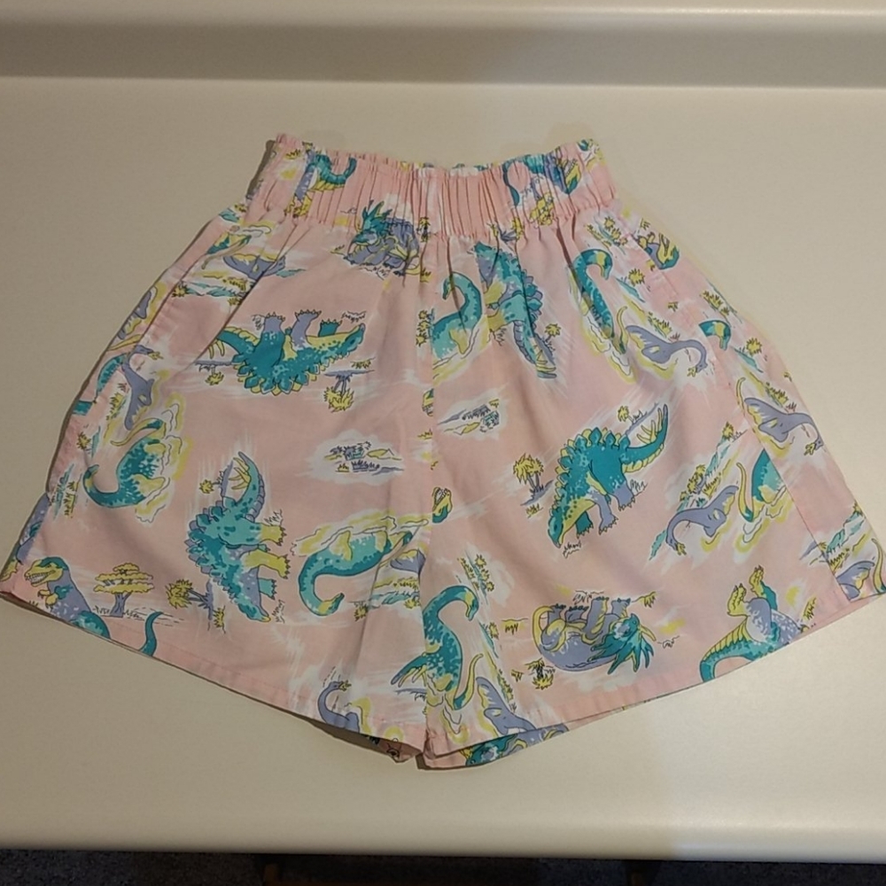 Vintage Dinosaur Shorts